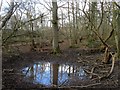 Pond, Ashenground Park