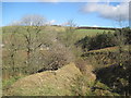 Footpath into Greenhead