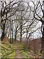 Footpath near Llwyncelyn