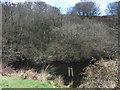 Former reservoir near Llwyncelyn