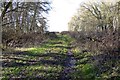 Footpath to Fringford