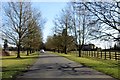 The road through Stratton Audley Park