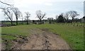 Small field east of Irving House Farm