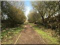 SJ7949 : Audley: path along former railway trackbed by Jonathan Hutchins