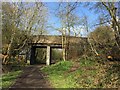 SJ7949 : Halmer End: footbridge over former railway trackbed by Jonathan Hutchins