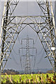 East Devon : Pylons