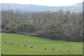 East Devon : Grassy Field