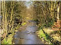 River Blakewater, Witton Park