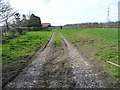 Track heading west towards Glebe Farm