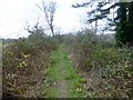 Footpath On Dundon Hill