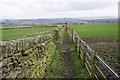 Footpath off White Lane