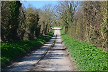 SU1624 : Track to Charlton Manor Farm by David Martin