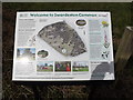 TG1902 : Information Board on Swardeston Common by Geographer