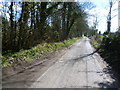 Lane towards Cold Harbour Farm