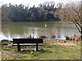 The lake at Rosemoor nature reserve, Walwyns Castle