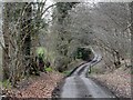 Road through Brickground Wood