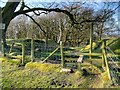 Stile on Path to Billinge End Road