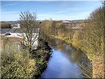 SD7910 : River Irwell, Upstream from Daisyfield Viaduct by David Dixon