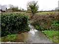 White water on Ogney Brook near Castle Street, Llantwit Major