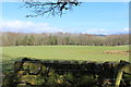 Farmland at Duncree Wood