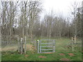 Gate into Dunston Pillar Wood