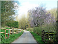 Gated lane by Hawling Lodge