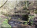 Footbridge over Cotton Brook in Star Wood