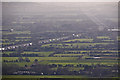 Sedgemoor : Countryside Scenery