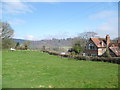 Field in Bronygarth above the Ceiriog Valley in spring