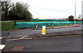 Extensive green sheeting at field walls, Llantwit Major