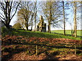 Ruins of Trillick Castle