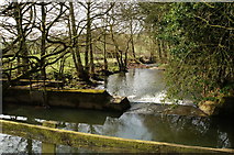 SK3046 : River Ecclesbourne, weir and drain by Peter Barr