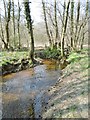 SU3704 : Penerley Wood, Shepton Water by Mike Faherty