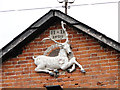 The white hart on the stables at The Scole Inn