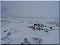 NN6680 : Snow and fencepost on southern top of Carn na Caim by Richard Law