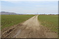 Farm Track at Boreland of Girthon