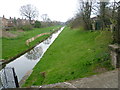 The New River from above the Bowes Park Tunnel