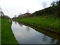 The New River near the Bowes Park Tunnel seen from the New River Path