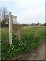 Start of the footpath to Mersea Stone