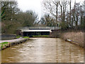 Trent and Mersey Canal:  Bridge No 138A