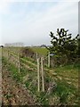 Footpath south of Rewsalls Farm