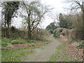 Footpath behind Rowley Avenue