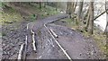 Muddy Track in Moses Gate Country Park