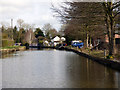 Trent and Mersey Canal:  Canalside houses