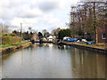 Trent and Mersey Canal:  Canalside houses