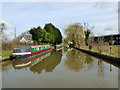 Trent and Mersey Canal:  Approaching Stud Green Bridge No 162