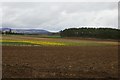 Fields near Jordanstone