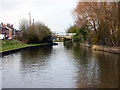 Trent and Mersey Canal:  Cledford Bridge No 166