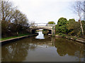 Trent and Mersey Canal:  Cledford Bridge No 166