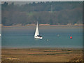 TM2237 : Yacht on the Orwell at Long Reach by Adrian S Pye
